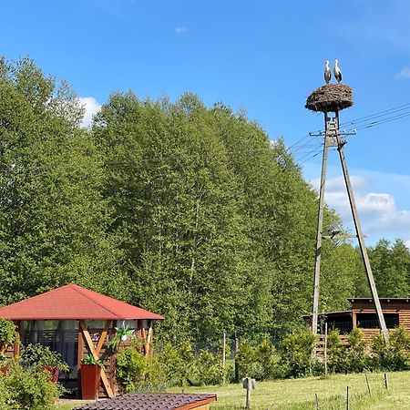 Вілла Agro Na Wapniarni Biala  Екстер'єр фото